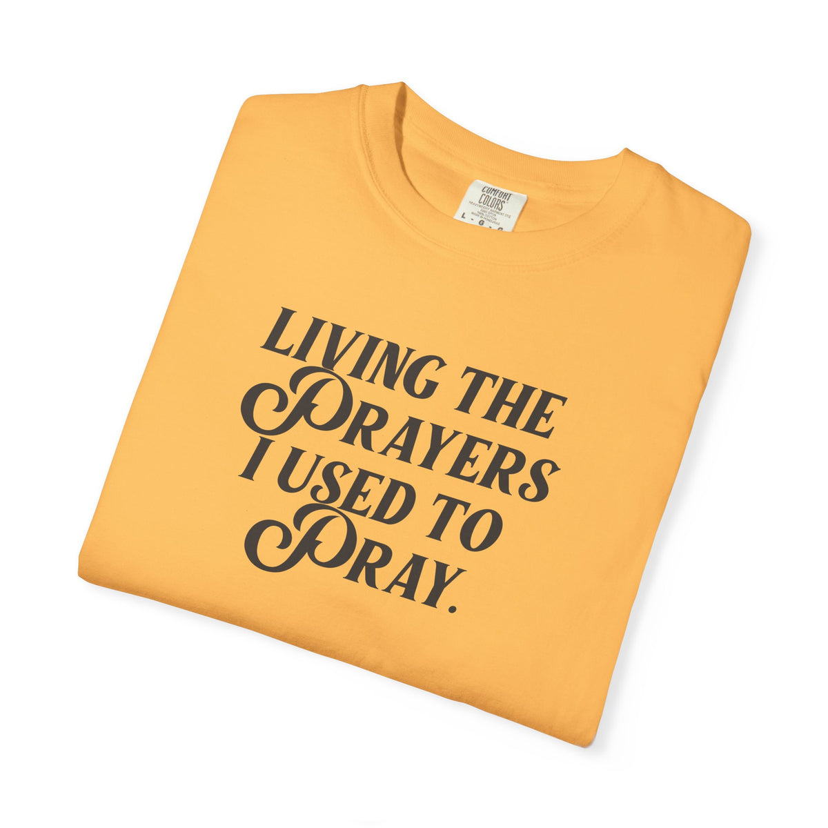 Living the Prayers I Used to Pray - T-Shirt - Comfort Color - Adult