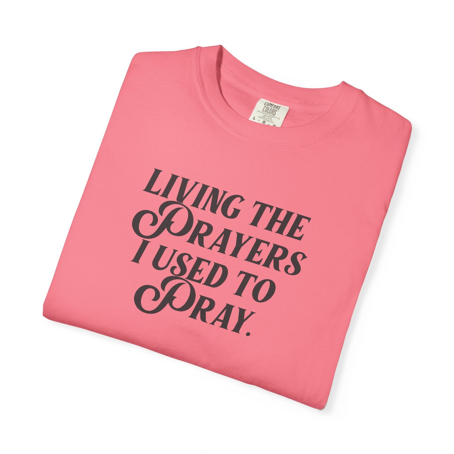 Living the Prayers I Used to Pray - T-Shirt - Comfort Color - Adult